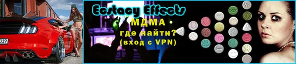 прущие грибы Аркадак