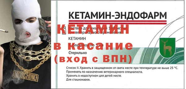 прущие грибы Аркадак